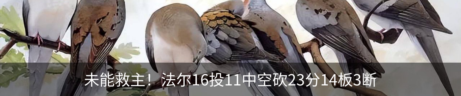 最新动态